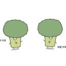 연극 도둑배우 이미지