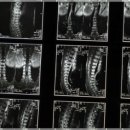 생활요가 이미지