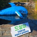 우리 지역축제 노력한다.. 부캉이 왔음 이미지