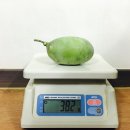포포농원