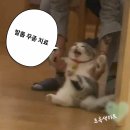 레푸스 삼성점 강남네일인디고 내성발톱 발톱무좀 발굳은살
