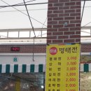 61호명태집