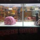 펫매니저(율하점) 이미지