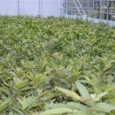 기현농장 이미지