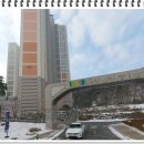 더숲조경 - 남동구 선수촌공원로23번길 11 | 더숲조경