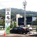 얼크니샤브칼국수 네이버블로그