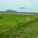 머르메가는길 이미지