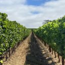 PARK AVENUE 이미지