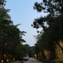 경기도 호캉스 추천 롤링힐스 호텔 (+ 조식 맛집, 키즈존, 아기 가족 호텔, 부대 시설)