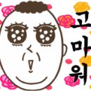 더샤인광택 이미지