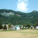 나리 신령수 이미지