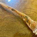 1982 PET FOOD 이미지