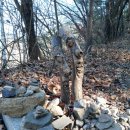 수리산도립공원 둔대로 주차장 이미지