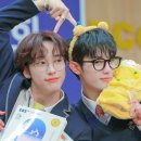 나인미 이미지