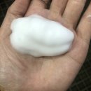 몽글몽글 펫 이미지