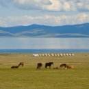 탄탄탄 중앙아시아 이미지