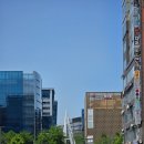 영원조경 | 성남웨딩홀 w스퀘어컨벤션 채플웨딩홀 방문 후기