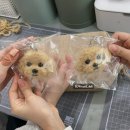 영어발레 | [양모펠트 원데이클래스 후기] 초등학생 친구들이 만든 강아지 키링!
