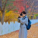 싱글몽글 이미지