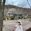 삼선산가든 | [아기와 나들이 추천] 삼선산 수목원 방문 후기 — 무료 입장, 놀이터와 워터파크, 도서관과 온실까지!