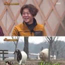 이목목장 이미지