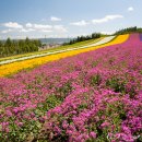 천지농장 이미지