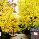 들마을공원 이미지