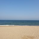 임랑해수욕장 네이버블로그