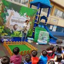 평화초교병설유치원 이미지