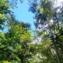 개좌골 추어탕 이미지