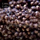 ㈜느티나무 이미지