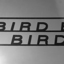 bird(버드)