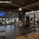 트레이닝데이 피트니스 이미지