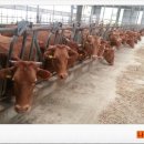 상훈축사 이미지