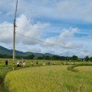 평촌마을 이미지