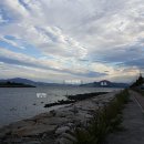 여수연안여객선터미널 이미지