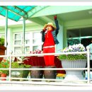 노화초등학교 이미지