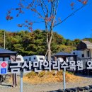 금산만악리수목원 오토캠핑장 이미지