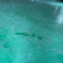 안양-안양-안양-517 이미지