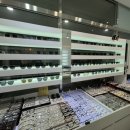 신유베라트 | 김포 라운드안경 | 제이스 정밀검안 + 수입·국산 렌즈 비교까지 믿고 맞춘 안경 후기