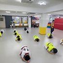 국가대표영웅태권도 이미지