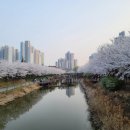 계양경기장 농구장 이미지