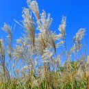 증산초교앞 이미지