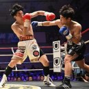 더 케이오짐 이미지