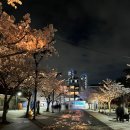 원조뒷고기 이미지