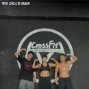 통영 크로스핏 레슬링 이미지