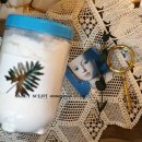 1급세탁 이미지