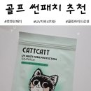 에이치케이공감 | 겨울 자외선도 방심 금물ㅣ캣캣 선패치로 자외선 걱정 끝! 쿨링감 좋은 썬패치 직접 써본 후기
