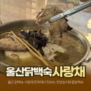 사랑채오리마을 | 울산 닭백숙 맛집 사랑채｜200년 한옥에서 즐기는 한방능이토종닭백숙