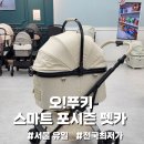 푸키펫 | [베네펫] 여름엔 시원~하게 겨울엔 뜨뜻~하게 , 강아지유모차 오!푸키 스마트 포시즌 펫카 후기!